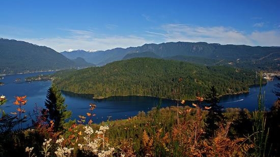 burnaby-mountain-by-trip-advisor