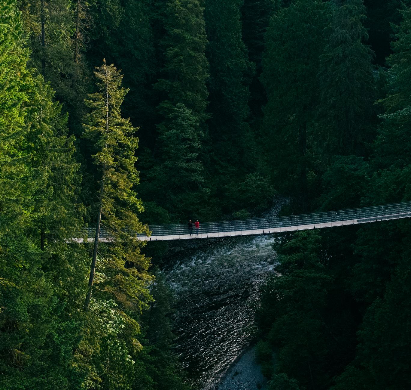 Capilano Suspension Bridge with Cliffwalk above Capilano River at Capilano Suspension Bridge Park