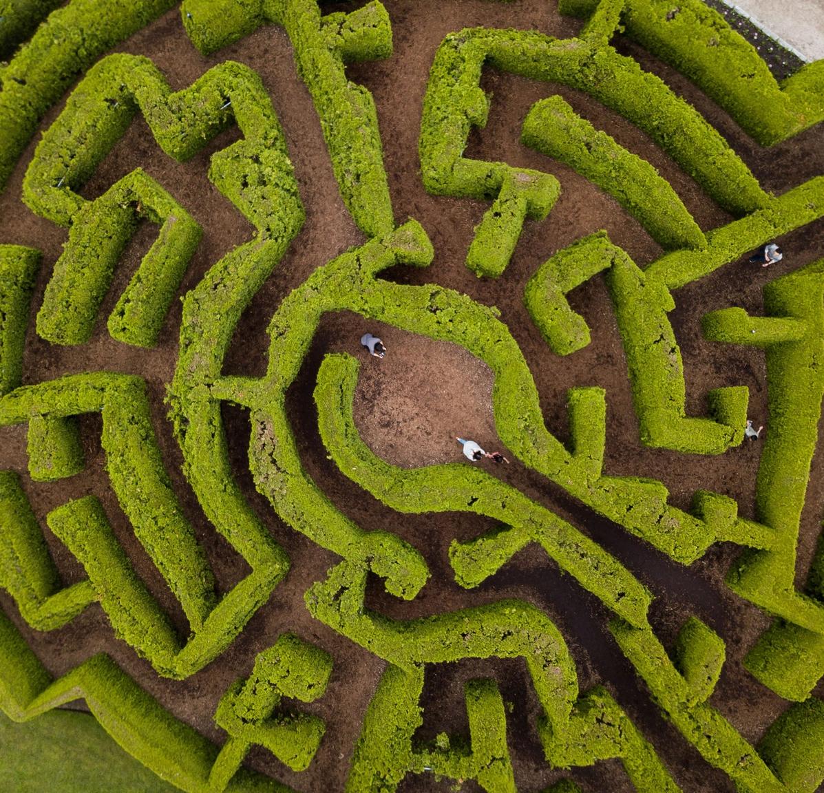 VanDusen Botanical Garden Hedge Maze