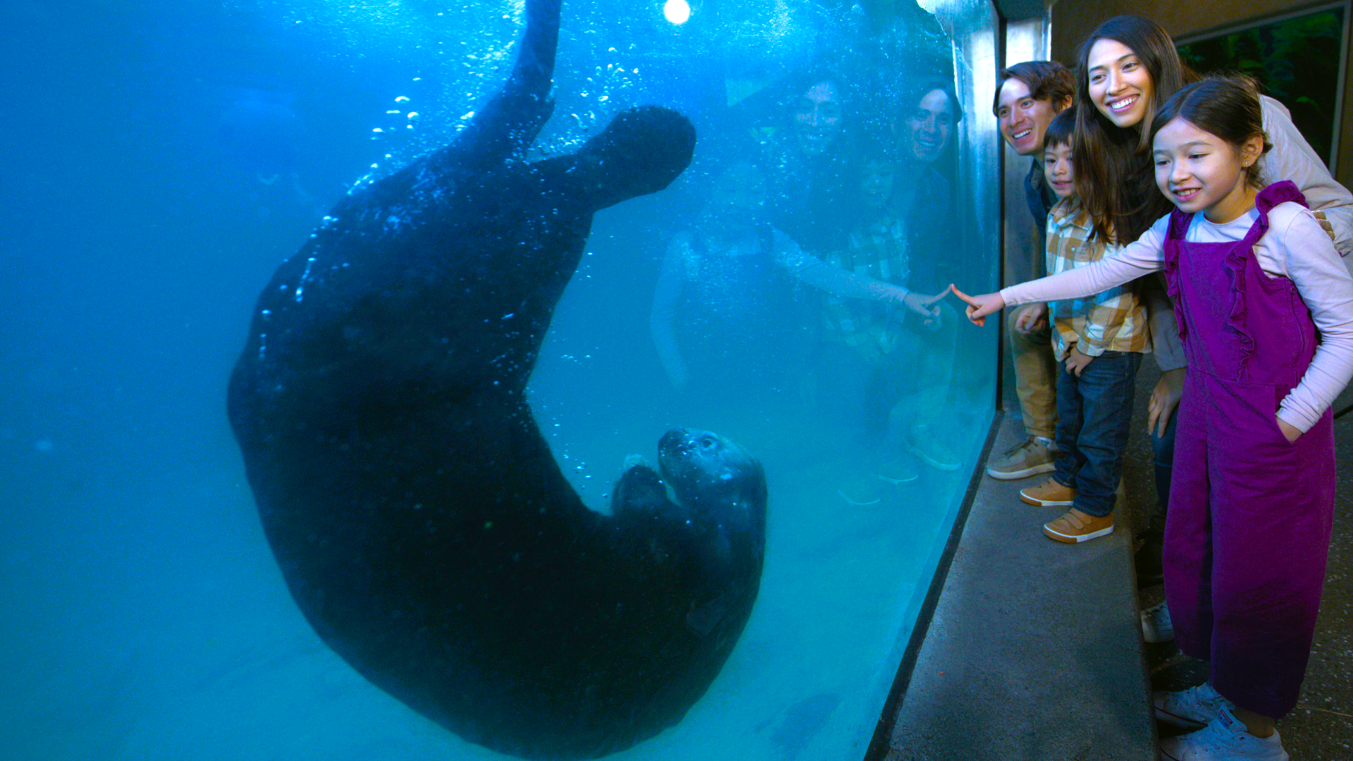Family with Sea Otter